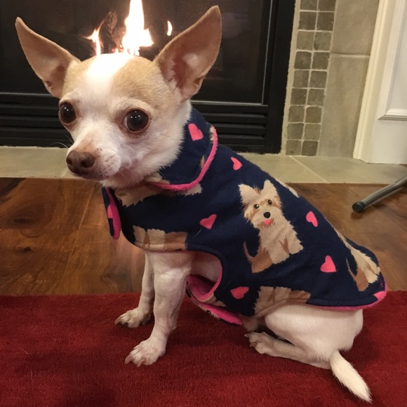 handmade Other - Handmade dog jacket 💕 dog sweater